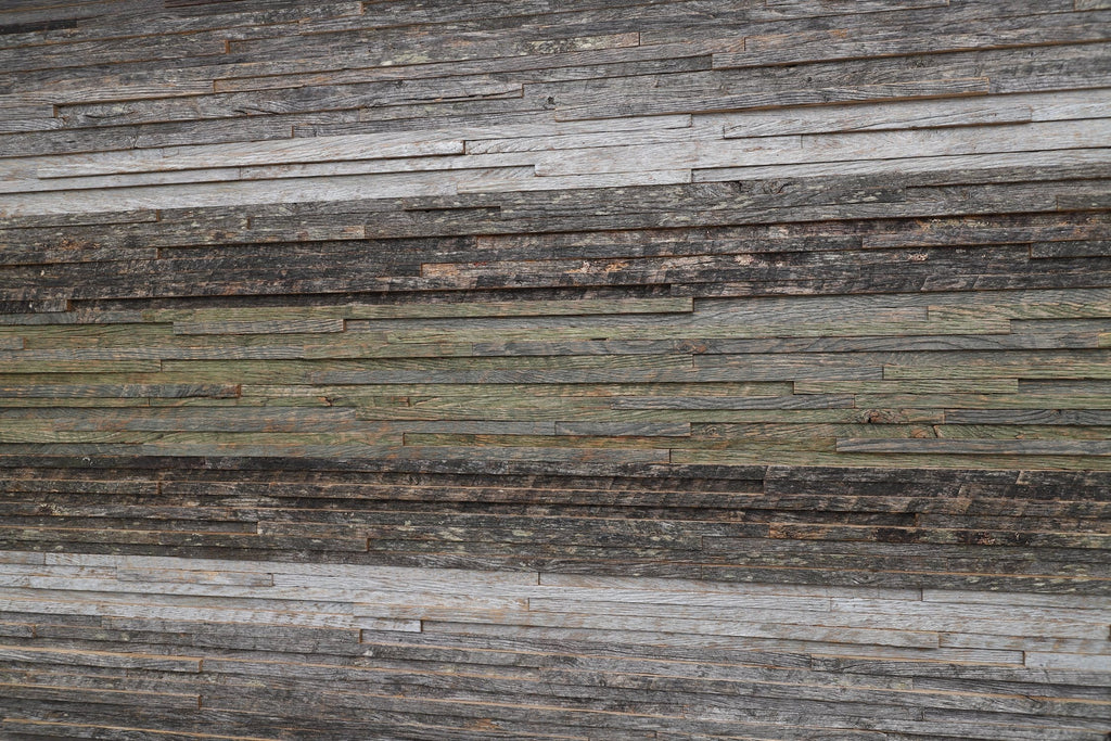 gradient moss wood artwork