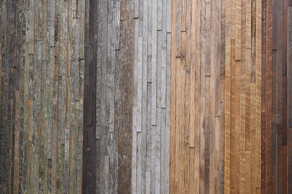 gradient moss wood artwork